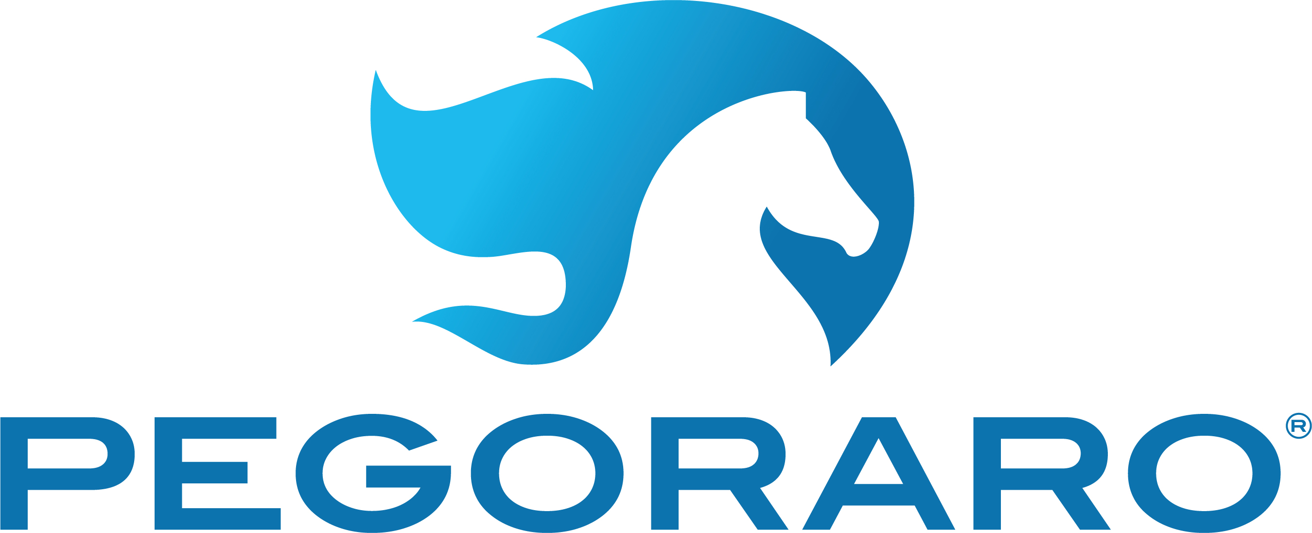 Organisation Logo - PEGORARO GAS TECHNOLOGIES SRL