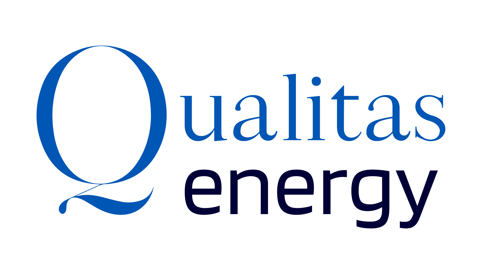 Organisation Logo - Q-ENERGY SUSTAINABLE SERVICES LIMITED