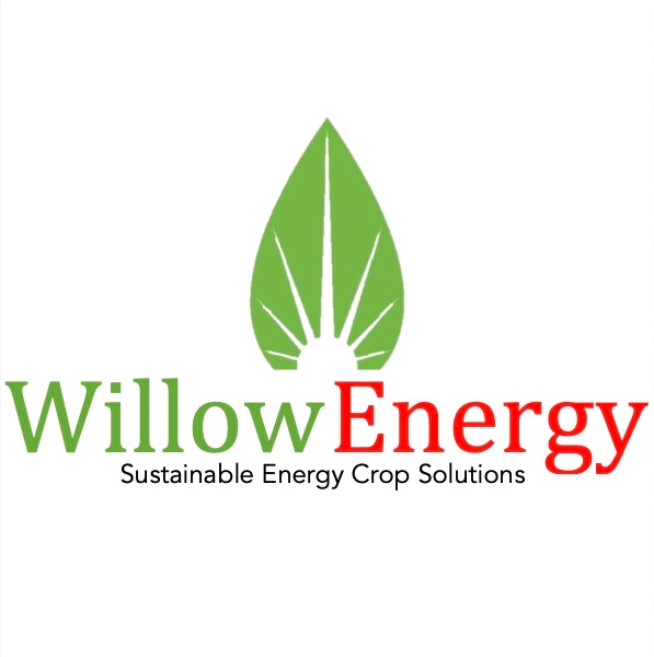 Organisation Logo - Willow Energy