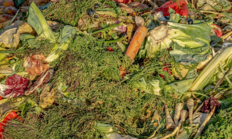 What WRAP’s new guidance on compostable plastic packaging means for the sector