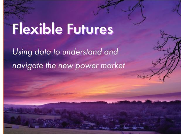 Flexible Futures Report