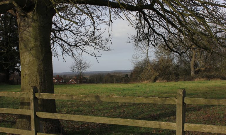 DEFRA publishes environmental land management scheme payment principles