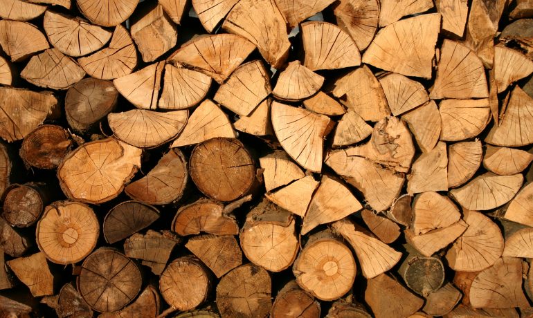 REA responds to National Audit Office (NAO) report on the government’s support for biomass