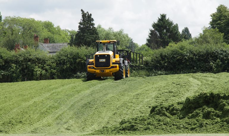 Guest Blog: How to create superior silage and boost your biogas