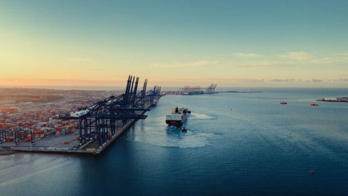 REA Report on Freeport East