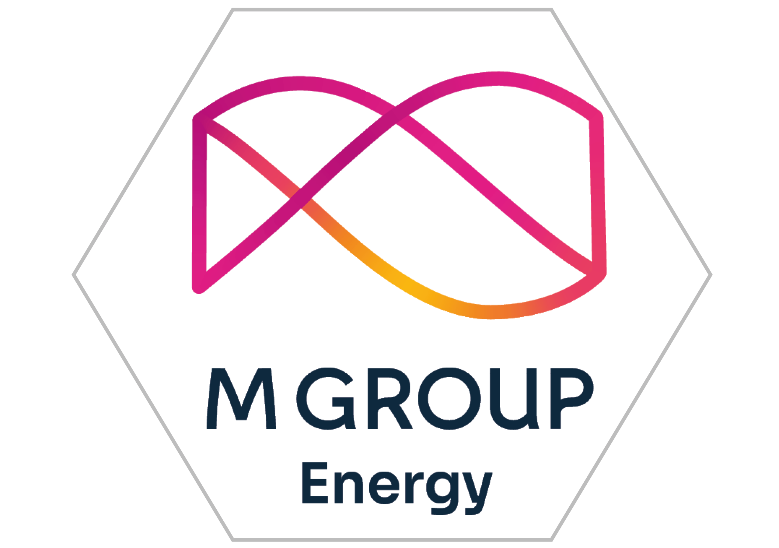 Business Partner Logo