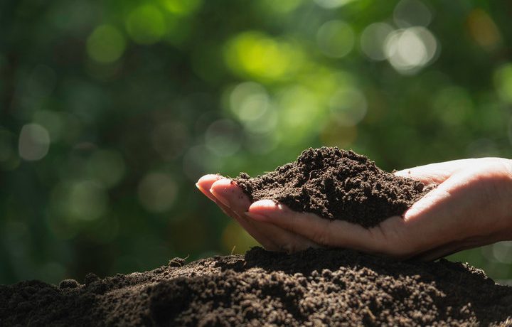 Global Compost Advocates Celebrate World Soil Day 2025, Promoting “Healthy Soils for Healthy Cities”