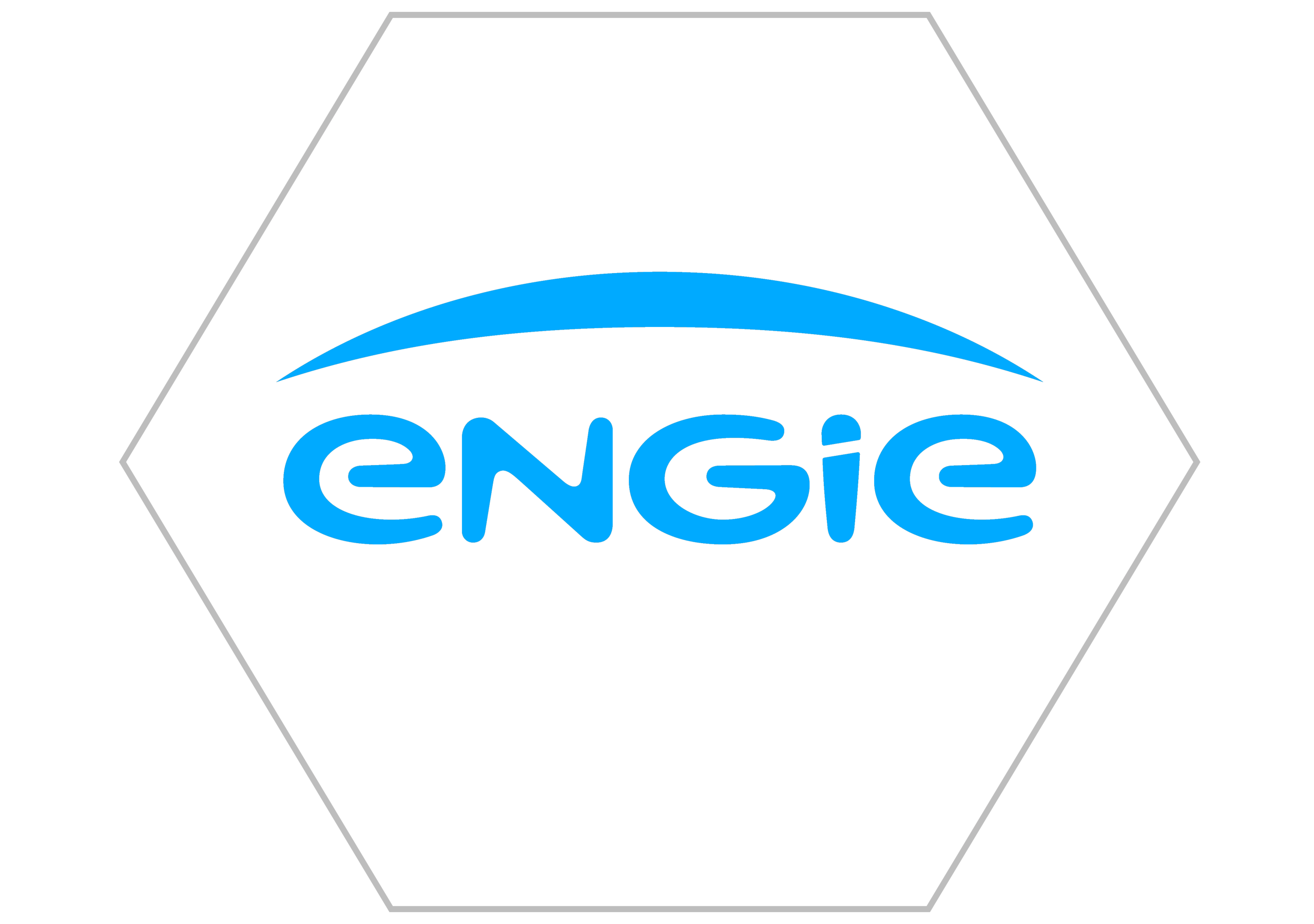 Business Partner Logo