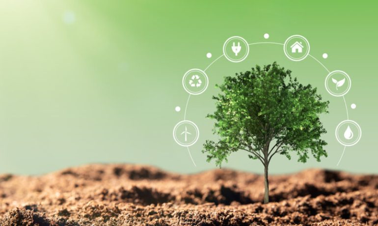 How Renewables Can Solve the Energy Crisis: Tech Spotlight Series